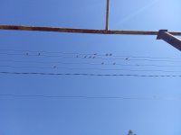 IMG_20250819_094005.jpg