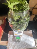 IMG_0630.jpeg