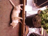 IMG_20250824_061437.jpg