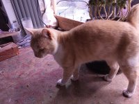 IMG_20250828_062705.jpg