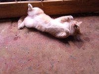 IMG_20250828_064008.jpg