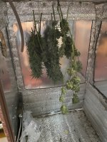 IMG_0363.jpeg