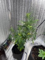 IMG_6778.jpeg