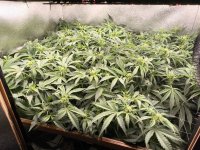 5323323062873093445.jpg