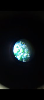 Screenshot_20250907-190128_Gallery.jpg