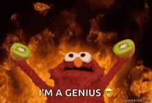 chaos-elmo.gif