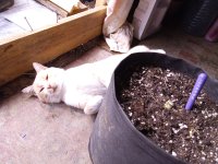 IMG_20250910_071453.jpg