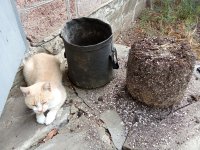 IMG_20250910_071757.jpg