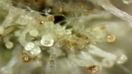 20250910-205131-040.jpg