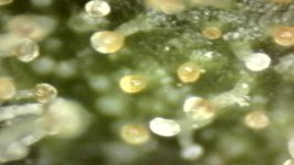 20250910-205210-600.jpg