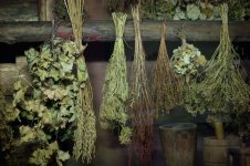4bff14bc409bf721bf1412fa08c7e908.jpg