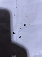 IMG_0568.jpeg