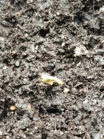IMG_20250919_190515_294.jpg