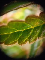 IMG20250920180201.jpg