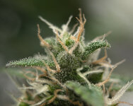 6.jpg 6.jpg