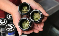 kak-pravilno-hranit-kannabis__QWil8BlLmdJfoUA3.jpg