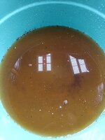 IMG_20250926_234608_612.jpg