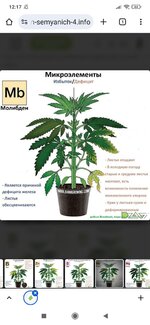Screenshot_2025-09-25-12-17-49-807_com.android.chrome.jpg