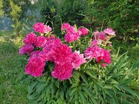 IMG_20240531_185714_310.jpg
