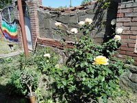 IMG_20220604_101945_138.jpg