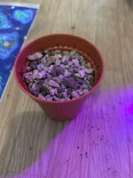IMG_8764.jpeg
