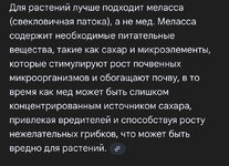 IMG_0688.jpeg