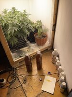 IMG_0724.jpeg