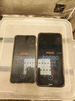 IMG_20251003_090346_297.jpg