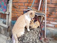 IMG_20251003_093405.jpg
