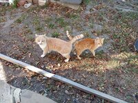 IMG_20251002_095721.jpg