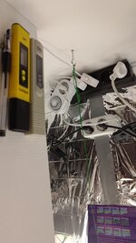 P_20251004_181039.jpg
