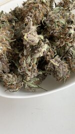 IMG_1784.jpeg