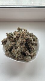 IMG_1782.jpeg