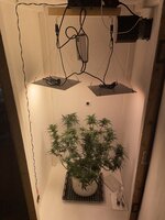 IMG_0191.jpeg
