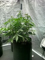 IMG_20251007_224730_884.jpg