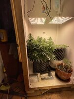 IMG_0817.jpeg