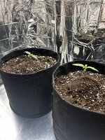 03.09.2025.jpg