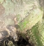 IMG_0845.jpeg