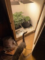 IMG_0658.jpeg