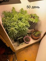 IMG_0835.jpeg