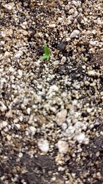 P_20251012_163222.jpg