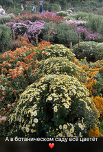 IMG_0876.jpeg