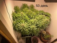 IMG_0898.jpeg