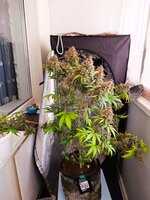 IMG_20251013_112310.jpg