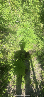 IMG_8418.png