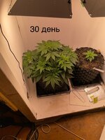 IMG_0583.jpeg