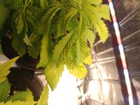 .trashed-1763312750-IMG_20251017_200539.jpg