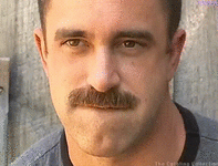 sticker_1.gif
