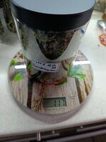 IMG_20251018_155416.jpg