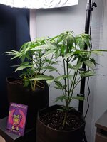 20251020_181851.jpg